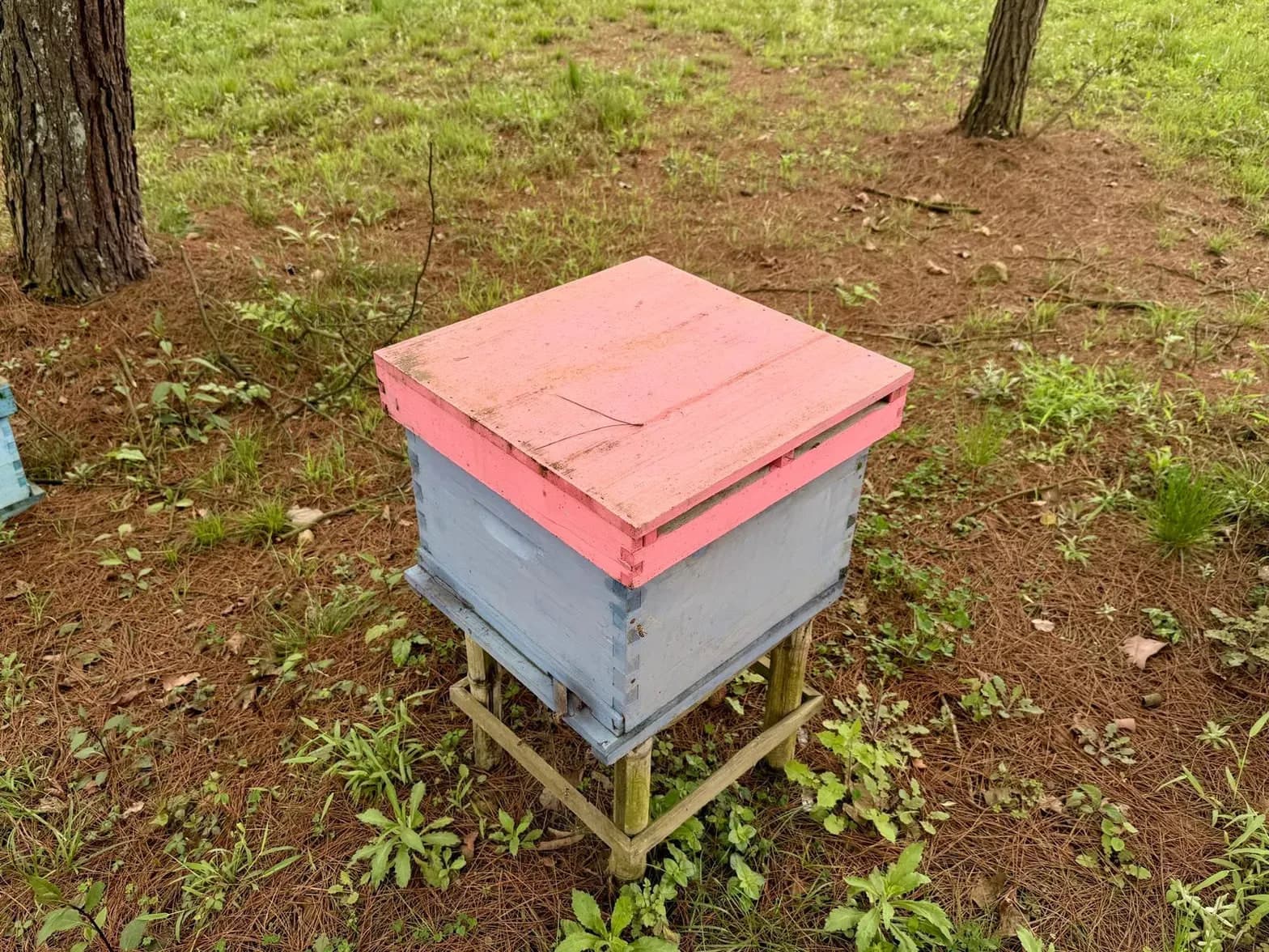 A single Chinese native bee hive raised on a timber stand among pine trees