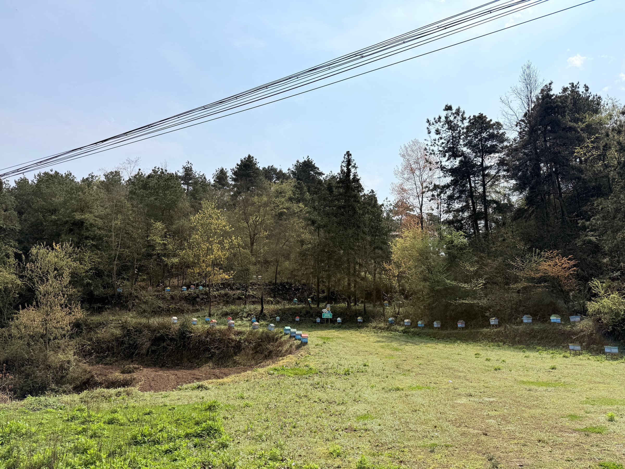 Hives along the edge of a Guizhou forest